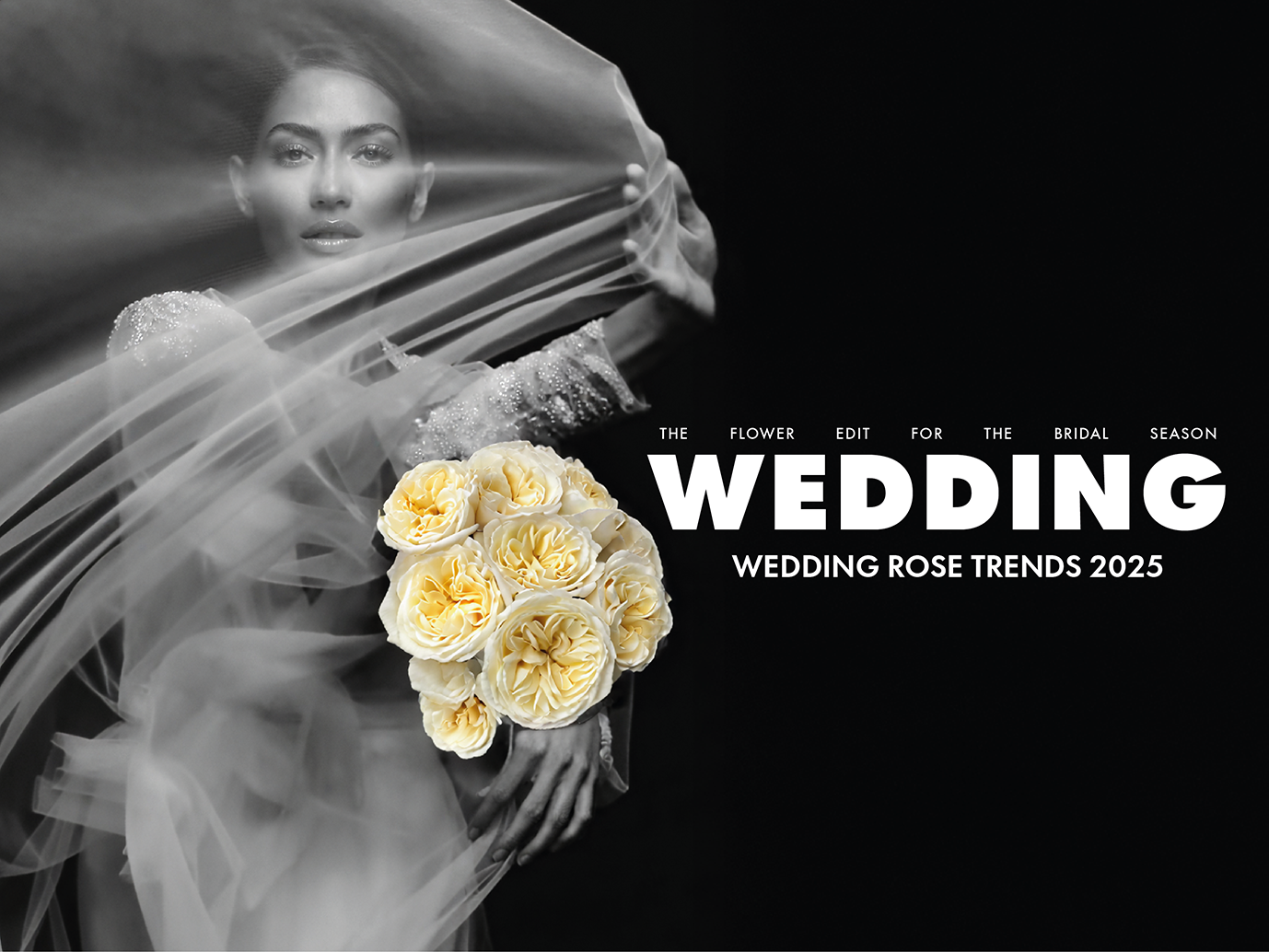 Wedding rose trends 2025