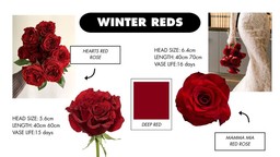 A collage of winter roses in deep red tones, featuring rich, bold hues that capture warmth and seasonal elegance.