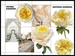 Fatima Gardens, Antonia Gardens Roses