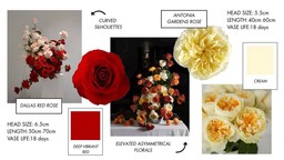 Collage of Dallas and Antonia Gardens roses highlighting creative floral design with warm tones and contemporary visual styling.